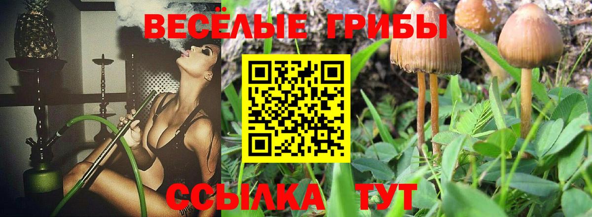 Морозовск  Псилоцибиновые грибы Psilocybine cubensis  Псилоцибиновые грибы Magic Shrooms  Вход с VPN 